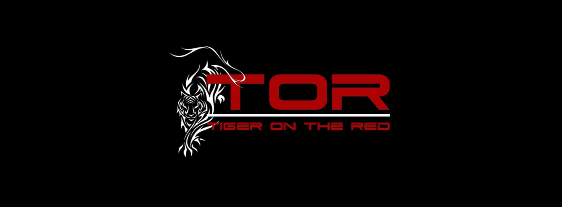 TOR Martial Arts Academy photo